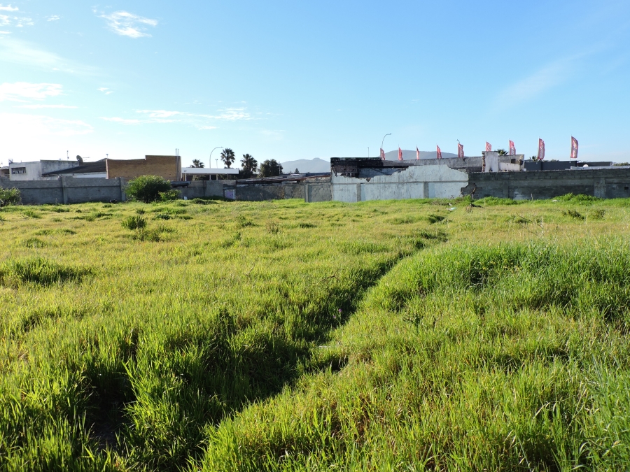 0 Bedroom Property for Sale in Elsies River Western Cape